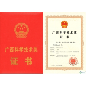 廣西科技進(jìn)步獎一等獎